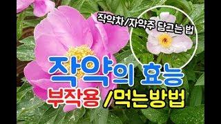 작약의 효능 부작용~(작약차/작약주 만드는 법)