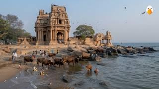 Mahabalipuram, India Ancient Temples and Rock Carvings Over 1300 Years Old (4K HDR)