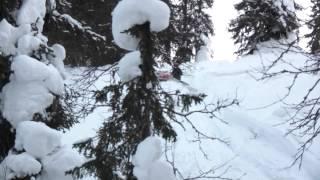 SledKillers на Кваркуше