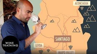 Chilean Wine - Leyda Valley | Wine Training School