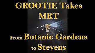 [MRTie Grootie]【小树搭地铁】Train ride from DT9 Botanic Gardens 植物园 to DT10 Stevens 史蒂芬 front of train 往前看