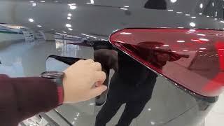 올뉴렉스턴