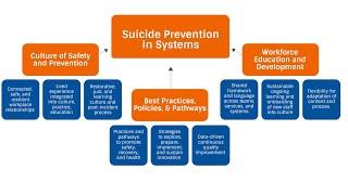 Suicide Prevention in Systems