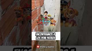 Encontramos a los paw patrol 