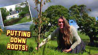 NEW Putting Down Roots at Our Highland Cottage  | Planting Trees, History & Heart in the Soil!