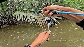 Rejeki Hari ini !!! Mancing Ikan Kakap Putih Besar