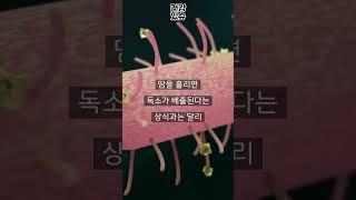 해독, 디톡스는 허구다