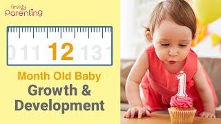 Your 12 Month Old Baby : Growth, Development, Activities & Care Tips