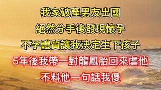 我家破產男友出國，絕然分手後發現懷孕，不孕體質讓我決定生下孩子，5年後我帶一對龍鳳胎回來虐他，不料他一句話我傻