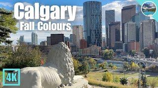 Calgary's beautiful Fall Colours 2024  Prince's Island Park