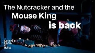 The Nutcracker Has Returned | Dutch National Ballet