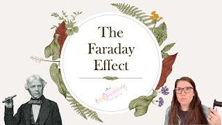 the faraday effect