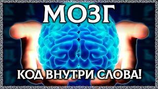 ЧТО ТАКОЕ МОЗГ? Буквица открывает тайну слова мозг! ОСОЗНАНКА