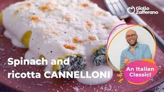 SPINACH and RICOTTA CANNELLONI - A classic italian 