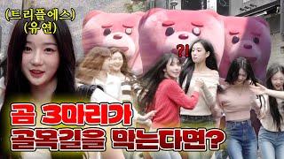 [Self-Subtitles] Popular Korean Idol! What if they encounter three bears in an alley? tripleS VV