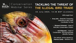 Tackling the Threat of Illegal Bird Trade | BirdLife Conservation Webinar Series