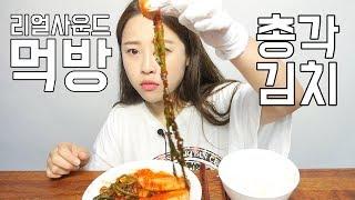 리얼사운드 총각김치 먹방 [귀르가즘주의] Real sound "chonggak kimchi"