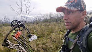 Wallows and Water - Solo Sambar Hunter (Archives)