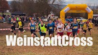 Crosslauf Weinstadt 2024