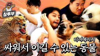 개유치한 아저씨들의 엄근진 토론