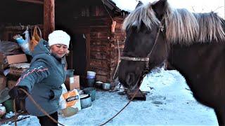 heart broken she moved to abandoned village 17 years ago and found happiness