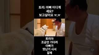 토리:아빠보고싶어요ㅠㅜ