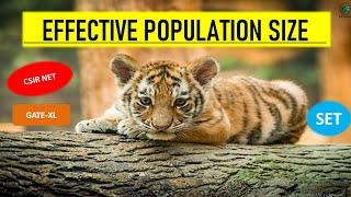 EFFECTIVE POPULATION SIZE  | IN HINDI | by Vidhuna Sood