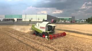 Getreideernte mit Claas Mähdrescher