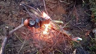 Włóczykij Filipek Ognisko w lesie smażenie kiełbas i survival a Bushcraft kurtka 128 mon Bushcraft