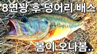 8연꽝 후 덩어리 배스 봄이 오나봄 최프로티비 274화