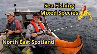 Sea Fishing Mixed Species : Catch & Release : Aberdeenshire : Boat Fishing