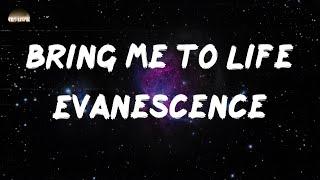 Evanescence - Bring Me To Life (Lyrics)