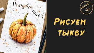 Как нарисовать тыкву. Уроки рисования для начинающих и для детей. How to draw Pumpkin.