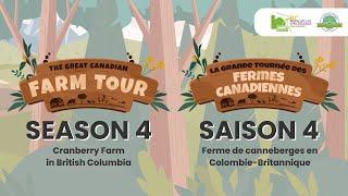 Great Canadian Farm Tour S4: Cranberry Farm in British Columbia with BCAITC