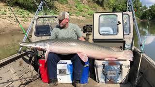 200 pound Alligator gar and 3 more over 140 pounds on a guided trip with Garzilla Guide Service