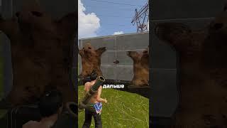 ГАЙД КАК ЗИЩИТИТЬ БАЗУ ОТ СИШЕК в RUST / РАСТ​
