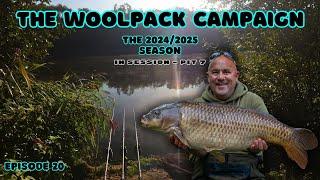 THE WOOLPACK CAMPAIGN | CARP FISHING | IN SESSION PIT 7 | PART 20 EXCERPT