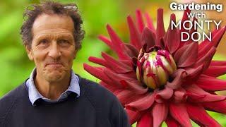 Most Creative TRANSFORMATIONS | FULL EPISODE | S11 E2 | Gardeners' World | Gardening With Monty Don