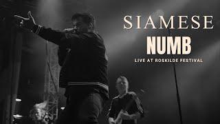 Siamese  - Numb (Live at Roskilde Festival)