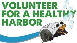 Become a Healthy Harbor Volunteer!