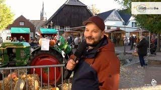 20. Gänsemarkt in Haltern am See