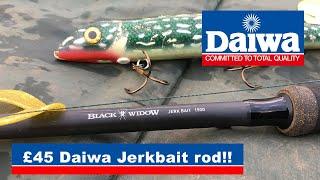 Daiwa Black Widow 150g Jerkbait rod review