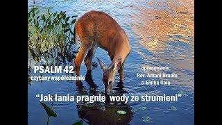 Psalm 42 Jak Lania pragnie wody