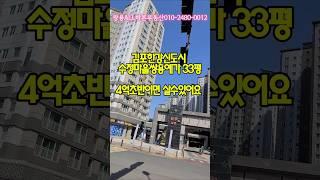 김포한강신도시 수정마을쌍용예가 33평형 4억초반이면 살수있어요