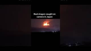 Real dragon caught on camera in Japan Part_1 #shorts #dragon #japan #fire