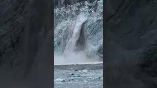 Amazing Calving of the Harvard Glacier #alaska #College #Fjord #viralvideo #amazing #calving