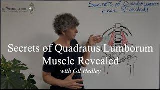 Secrets of Quadratus Lumborum Muscle Revealed: Learn Integral Anatomy with Gil Hedley