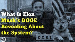 What Is Elon Musk's DOGE Revealing About the System?