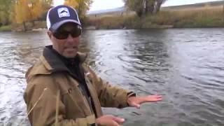 Trout Life (river fishing); Fishful Thinker TV