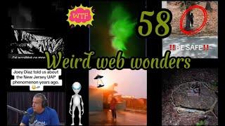 weird web wonders 58